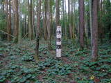 大隅 高山城の写真