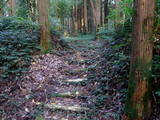 大隅 高山城の写真