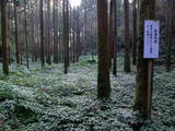 大隅 高山城の写真