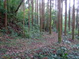 大隅 高山城の写真