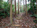 大隅 高山城の写真