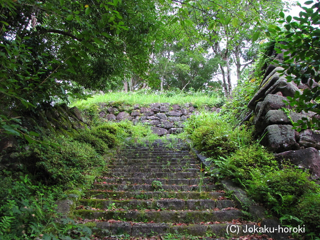 大隅 栗野城の写真