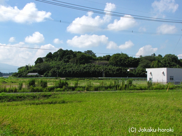 大隅 岡崎城の写真