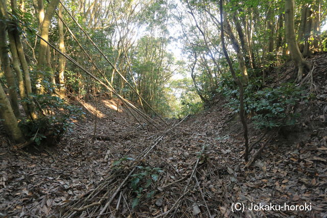 大隅 廻城の写真