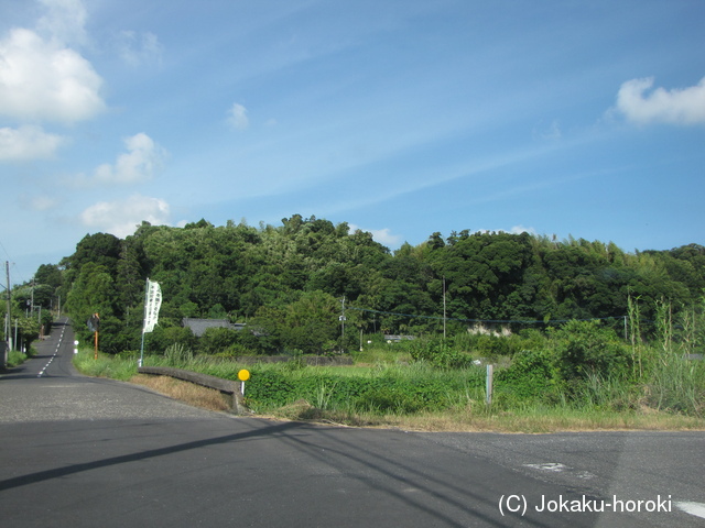 大隅 中村城の写真