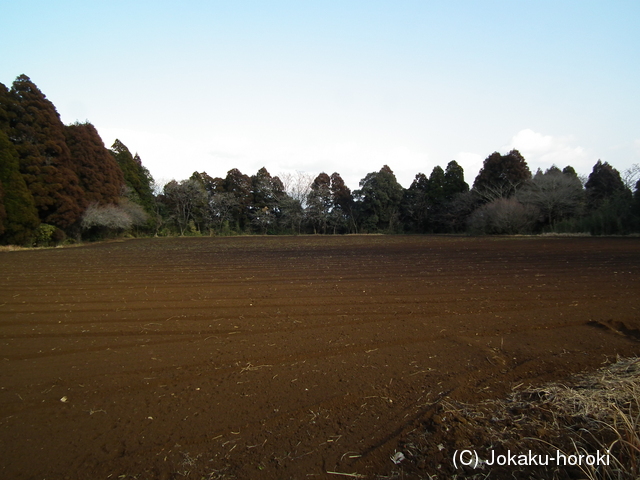 大隅 新城城の写真