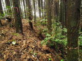 大隅 日輪城の写真