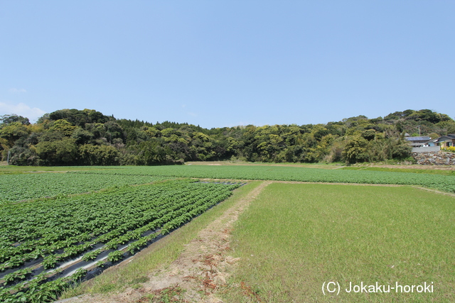 大隅 野間城の写真