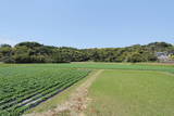 大隅 野間城の写真