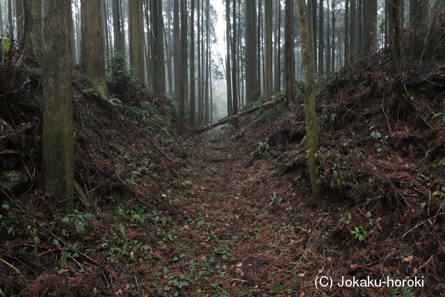 大隅 平松城(末吉町)の写真