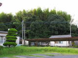 大隅 末吉城の写真