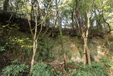 大隅 橘木城の写真