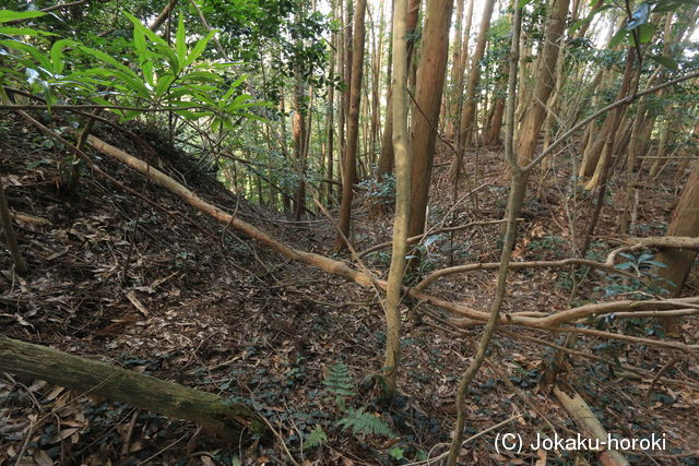 大隅 垂野城の写真