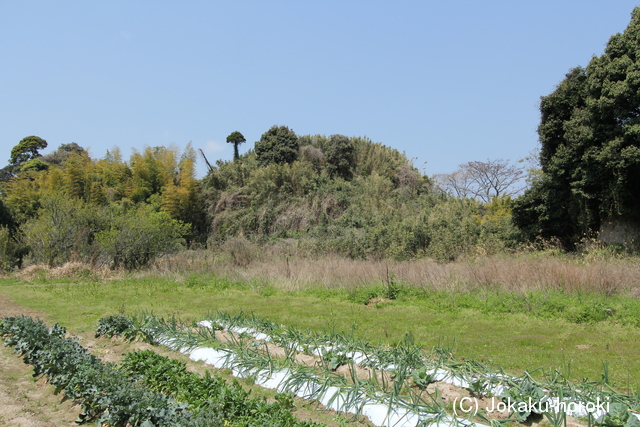 大隅 富田城の写真