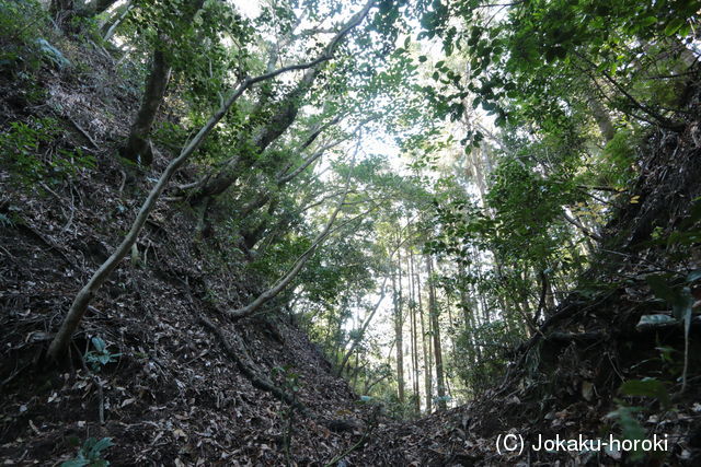 大隅 山田城の写真