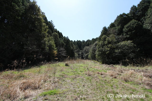 大隅 山ノ城の写真