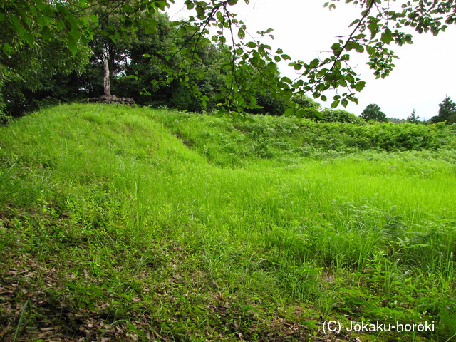 大隅 横川城の写真
