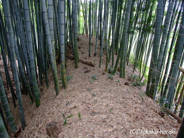 近江 油日館の写真