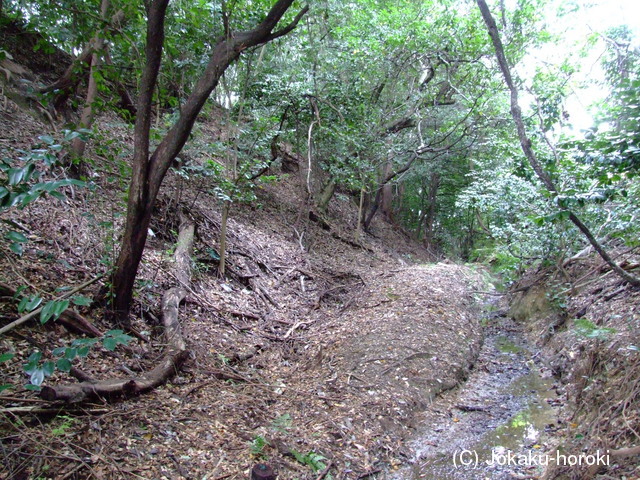 近江 青地城の写真