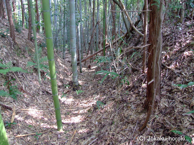 近江 青木城(西城館)の写真