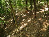 近江 朝宮城山城の写真
