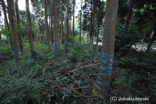 近江 東野館の写真