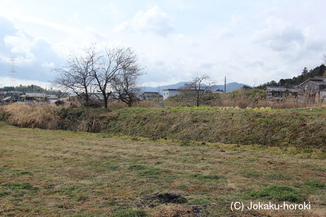 近江 伴中山城の写真