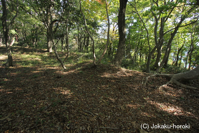 近江 別所山砦の写真