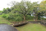 近江 敏満寺城の写真