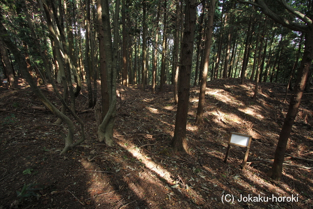 近江 堂木山砦の写真