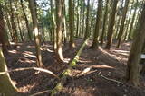 近江 堂木山砦の写真