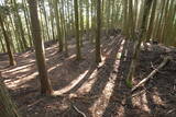 近江 堂木山砦の写真