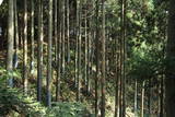 近江 堂木山砦の写真