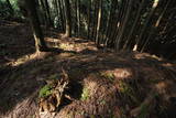近江 堂木山砦の写真