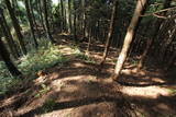 近江 堂木山砦の写真