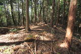 近江 堂木山砦の写真