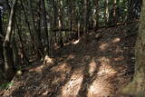 近江 堂木山砦の写真