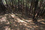 近江 堂木山砦の写真
