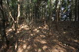 近江 堂木山砦の写真