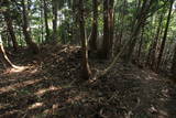 近江 堂木山砦の写真