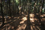 近江 堂木山砦の写真