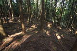 近江 堂木山砦の写真
