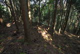 近江 堂木山砦の写真