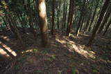 近江 堂木山砦の写真