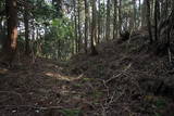 近江 堂木山砦の写真