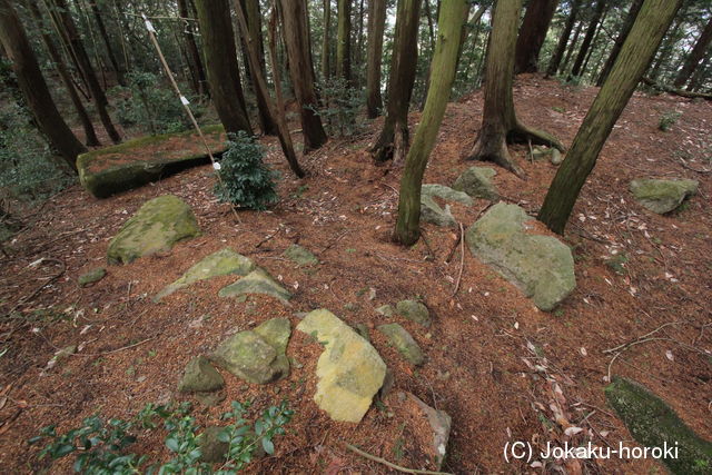 近江 布施山城の写真