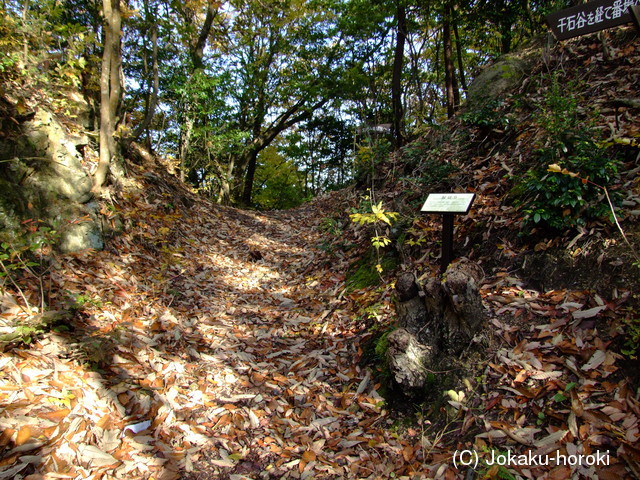 近江 太尾山城の写真