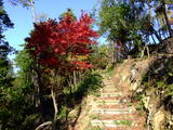 近江 太尾山城の写真