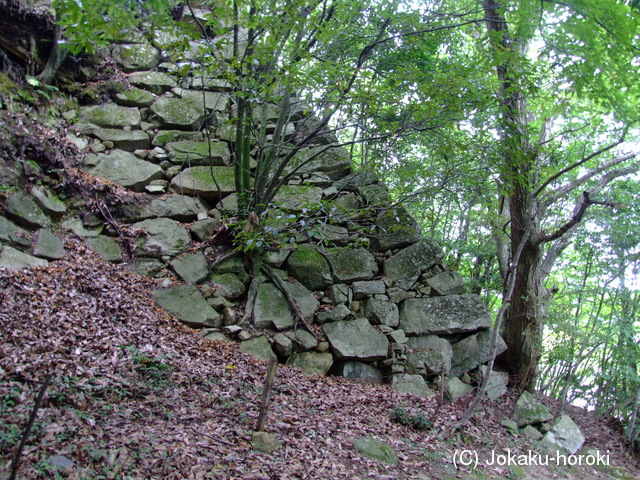 近江 八幡山城の写真