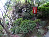 近江 八幡山城の写真